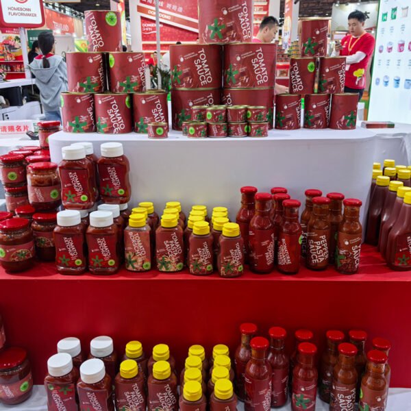 10g Double Concentrated Tomato Paste