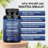3_fe8814e4-39de-4073-8a79-3c47fec6bd07_800x800.png Mulittea Hot Sale 100% Organic Shilajit & Maca Capsules
