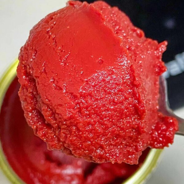 10g Double Concentrated Tomato Paste
