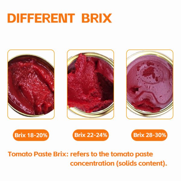 10g Double Concentrated Tomato Paste